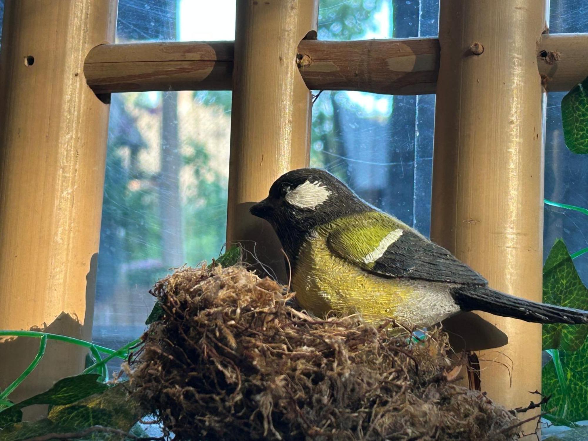 Bed & Breakfast Kamersven