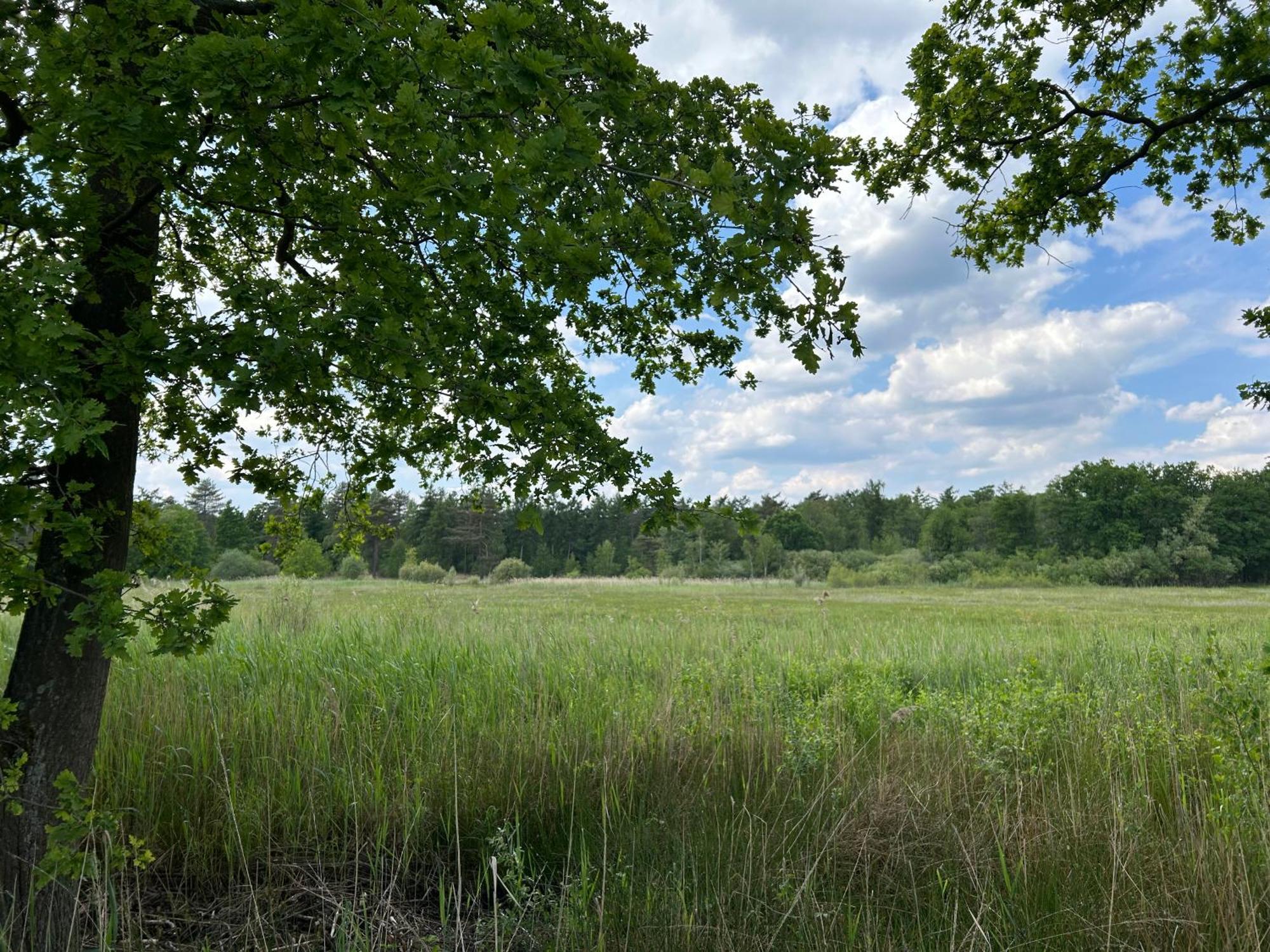 Kamersven